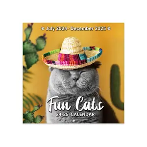 2024-2025 Wall Calendar - July 2024 - December 2025, Funny Cat Calendar 2024-2025, 18 Wall Calendar Gag Gift, Funny Cat Memes Pics, 12'' x 24'' (Open), Funny Cat Calendar, Unruled Block, Hanging Hole, Holidays