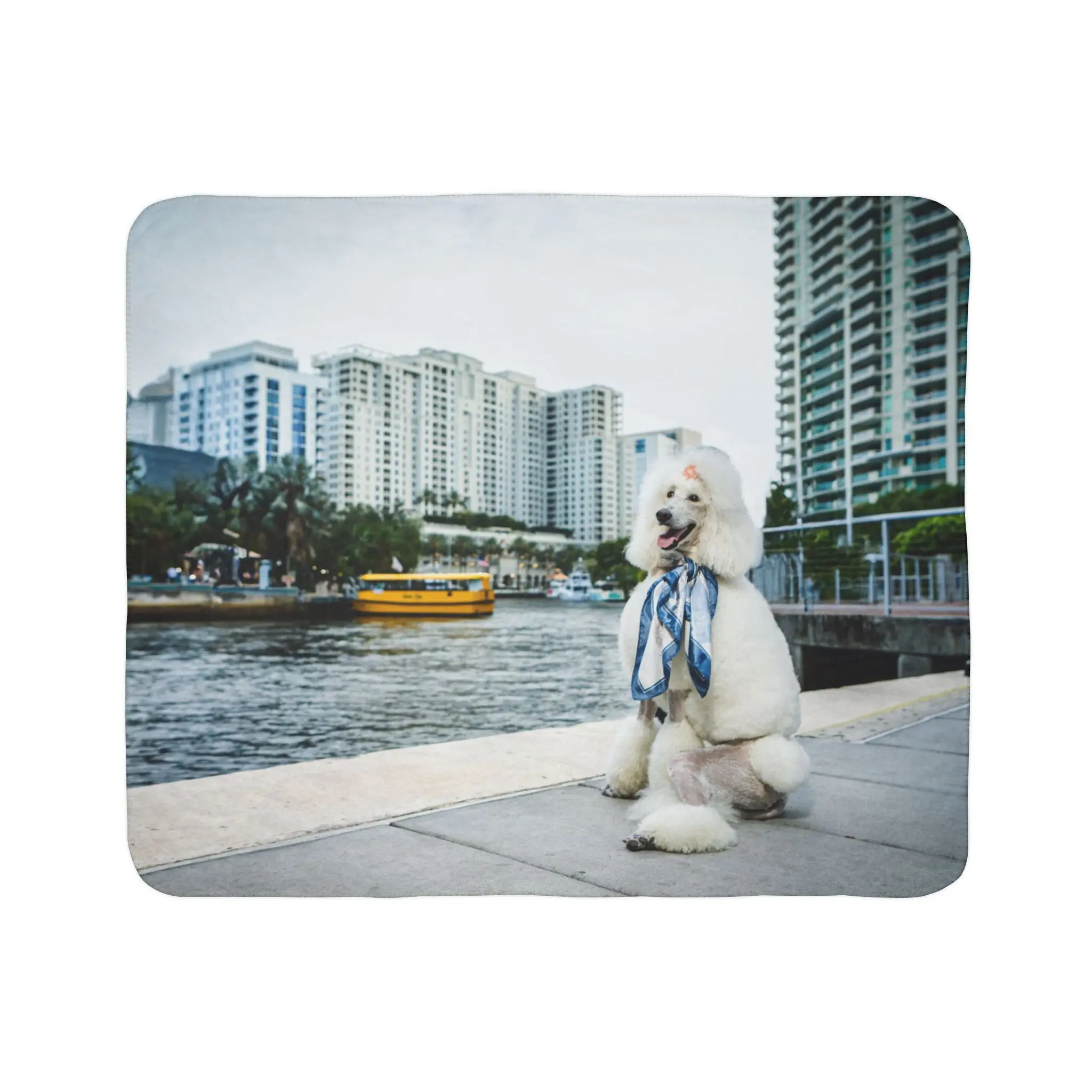 Poodle Portrait Fleece Sherpa Blanket | City Waterfront Dog Photo