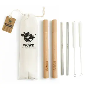 Stainless Steel Straw with Wood Travel Case / Eco-Friendly / Travel Straw