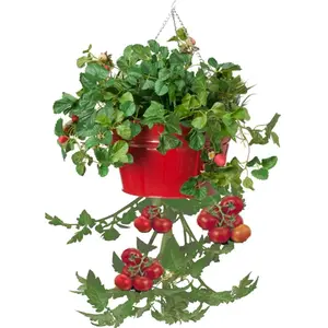 Houston International Trading  Enameled Galvanized Hanging Strawberry, Floral Planter - Red