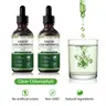 Clear Chlorophyll Liquid Drops | 1500 mg Chlorophyll Supplement | Supports Natural Cleansing, Digestive Health & Daily Wellness | Natural Ingredients | No Artificial Colors | Natural Mint Flavor | 30-Day Supply