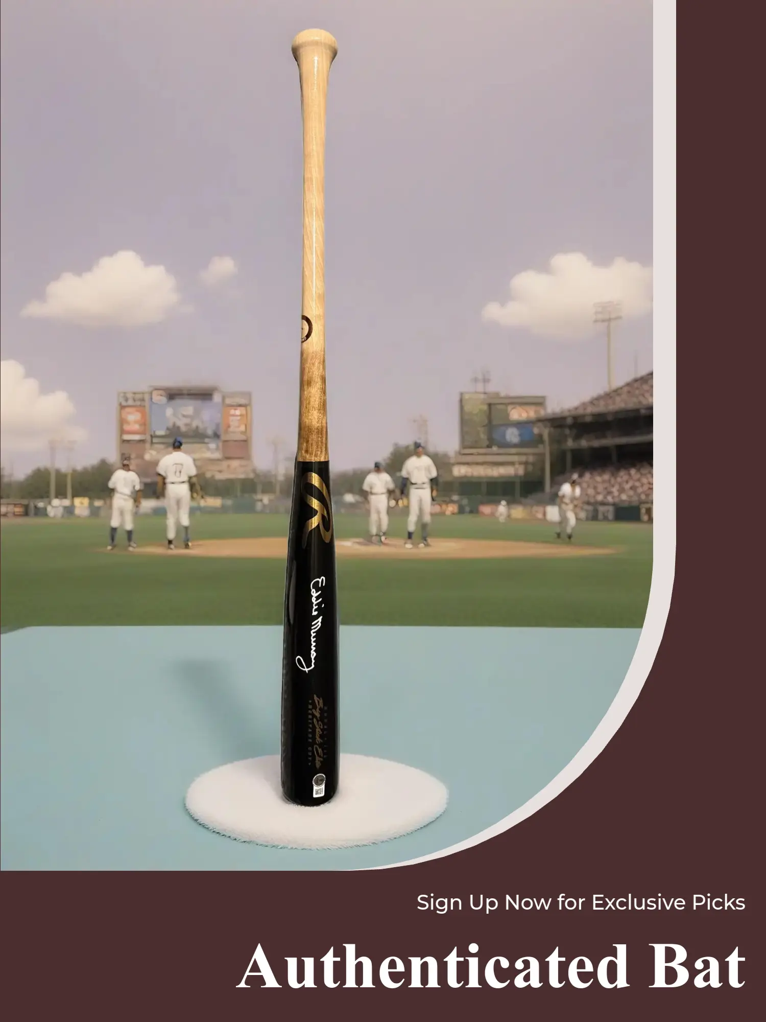 Believe In Sports Signed Baseball Bat Break Pick Your Division Authentic Autographed Bat with Certificate of Authenticity, Winning, Consolation, Sports Memorabilia, Nl Central