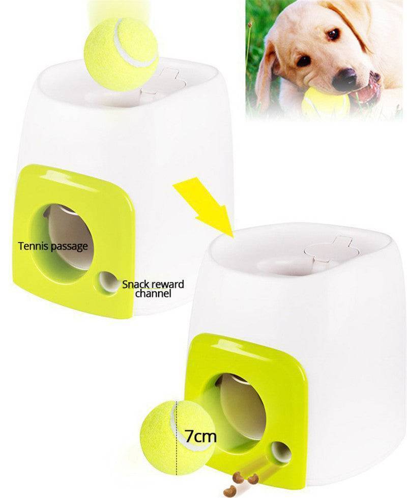 Automatic Pet Training And Feeding System