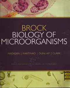 USED-Brock Biology of Microorganisms (2009 3rd Custom Ed. University of Central Florida) (PB) by Michael T Madigan, John M Martinko, Paul K Dunlap, David Clark (Paperback)