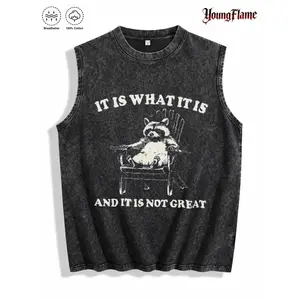 Men's Acid Wash Sleeveless Tank Top with Funny Raccoon Graphic, Retro Memecore Streetwear for Casual Parties, Sleeveless Tanktop