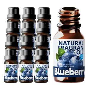 12pc 10ML Blueberry Essential Oil Set, Long-Lasting Scented Aromatherapy Oils for Home & Car Use, Perfect Gift for Holidays