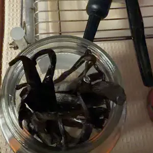 Slofoodgroup Ugandan Vanilla Beans, Gourmet Vanilla for Cooking and Baking Flavor Chocolate