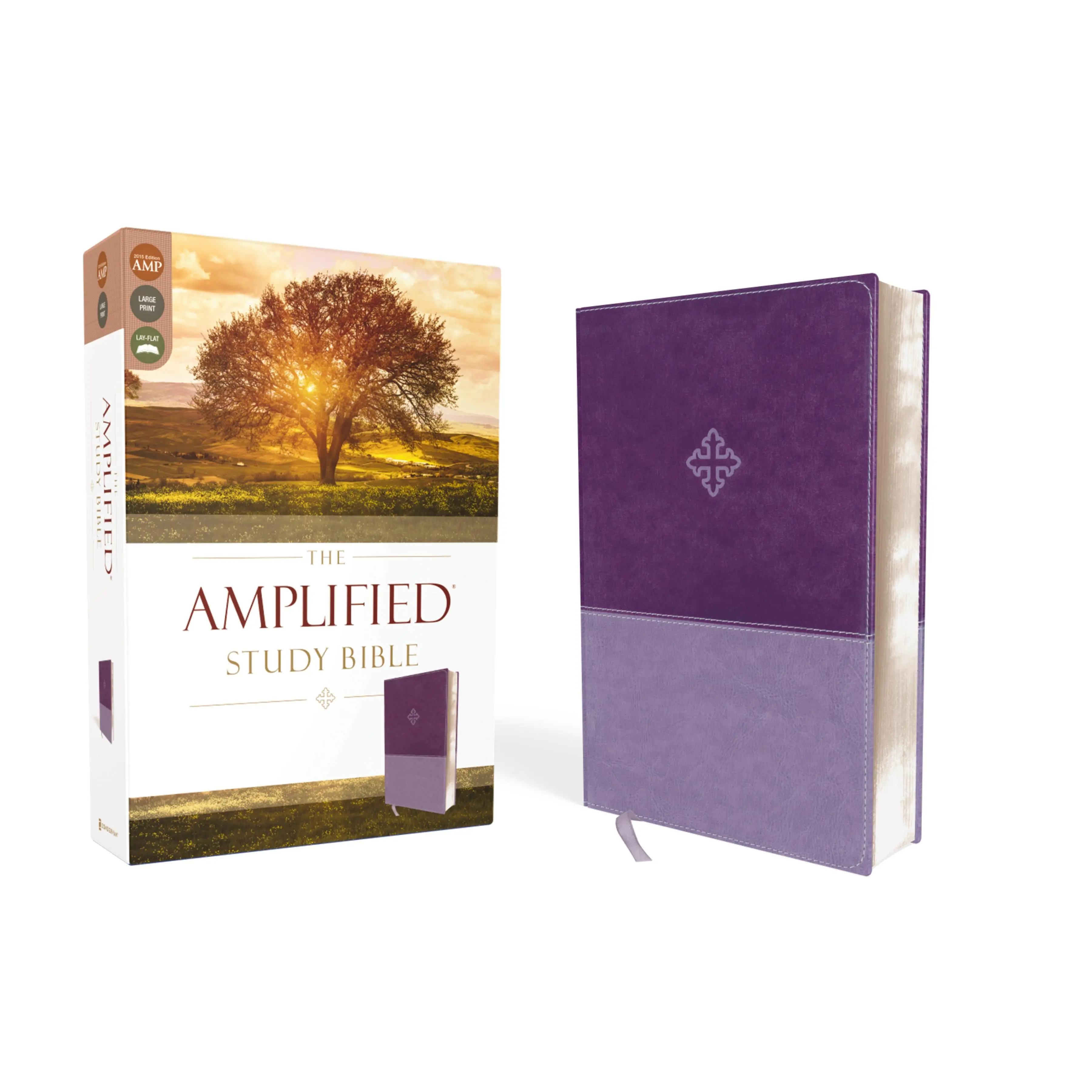 The Amplified Study Bible, Leathersoft, Purple by Zondervan [Leatherbound Book]