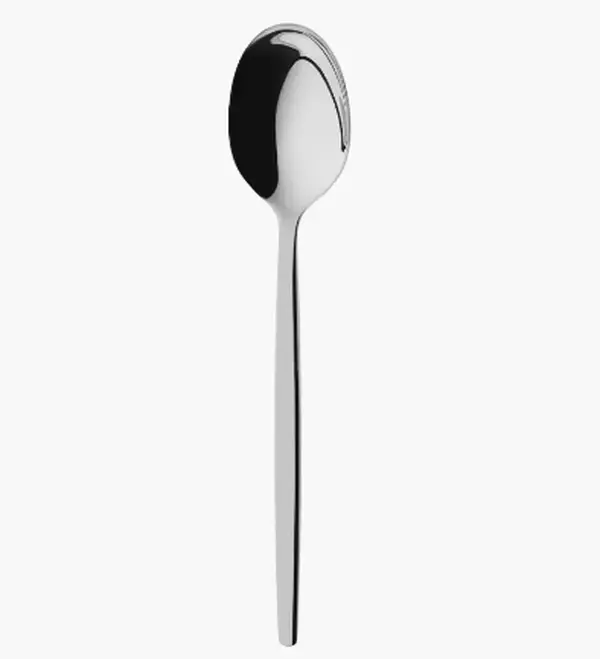 Stainless Steel Teaspoon - Set of Twelve