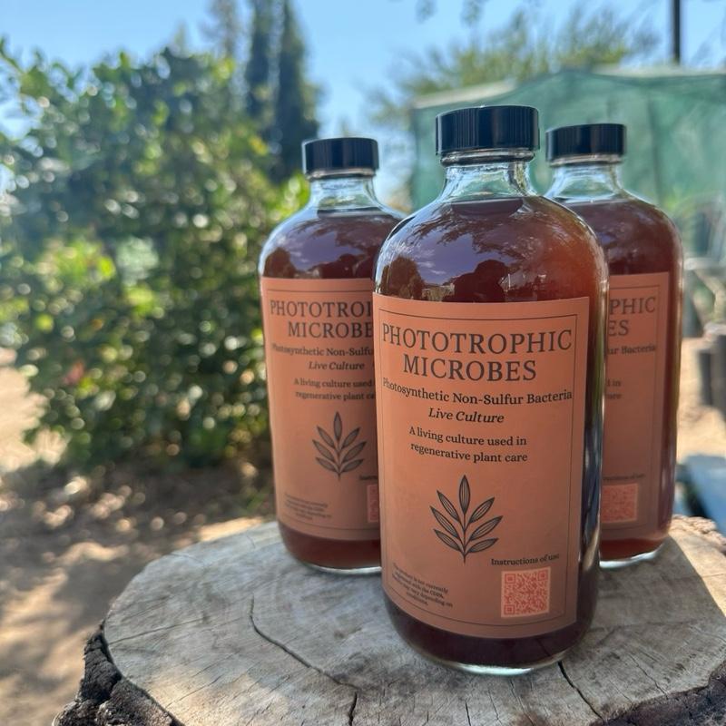 1 Gallon - Phototropic Bacteria for Enhanced Plant Growth