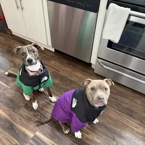 Warm Winter Dog Jacket - Cozy, Stylish, Lightweight Polyester for All Seasons, Available in Multiple Colors and Sizes Puppy