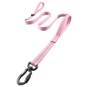 The store upgrade in progress！！OneTigris Double Handle Dog Leash 5ft - Heavy-Duty Reflective Nylon with Padded Handles for Extra Control, No-Pull Training Lead for Walking Running Hiking - Escape-Proof Durable 1-Inch Width for Small Medium Large Dogs