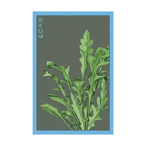 Arugula Vegetable Seeds Packet