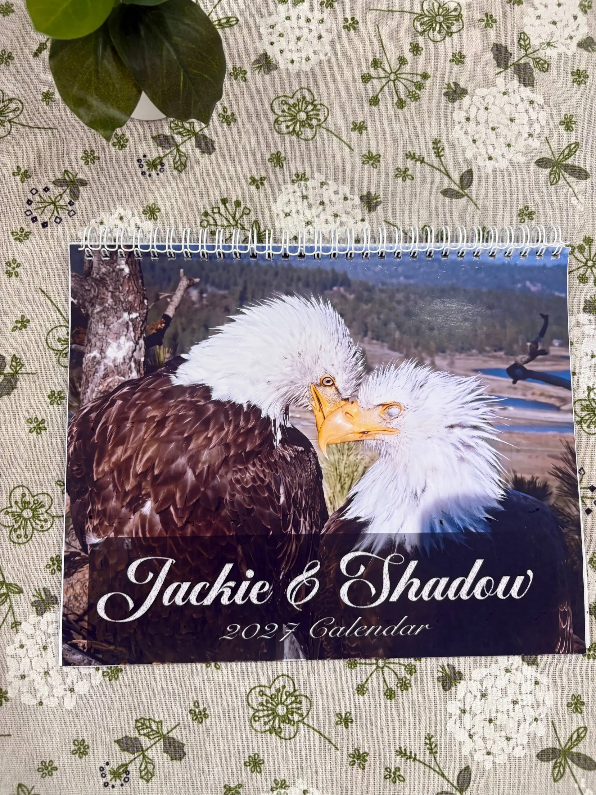 Jackie & Shadow Calendars, Love Story Jackie & Shadow Wall Calendars 2026-2027, Calendar for Home Decor