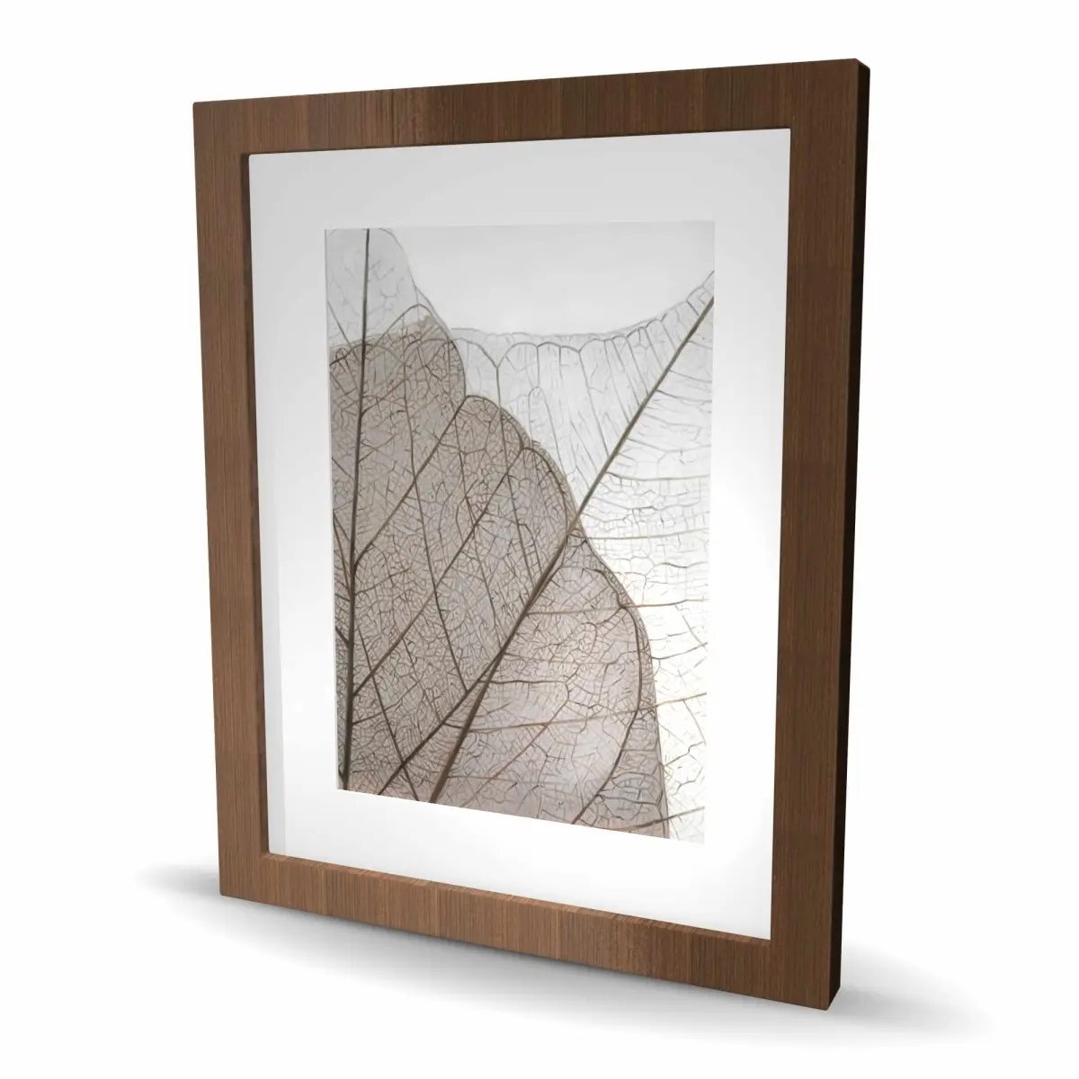 Begin Home Decor C1FM16202GW51F Artistic Nature Artwork - 16x20 in. Translucent Dried Leaves Brown Hyperrealist Framed Print, Home Decoration, Ideal Gift