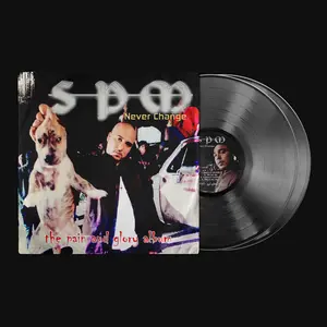 Never Change Vinyl Record