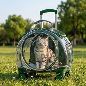 Transparent Space Capsule Pet Trolley Case, Large-capacity Double-shoulder Cat Bag, Portable Outdoor Backpack for Small Pets
