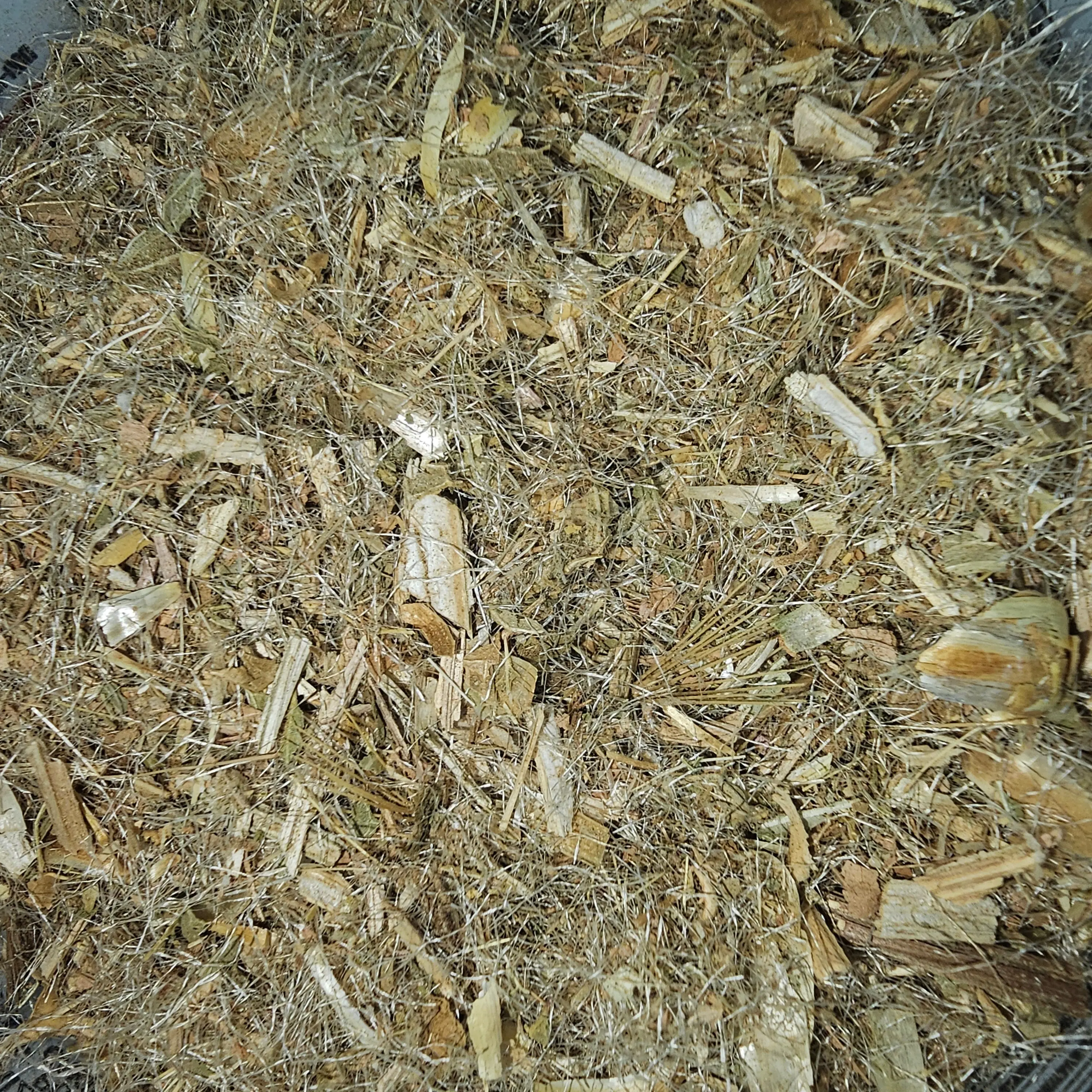 Blessed Thistle Organic 1/2oz