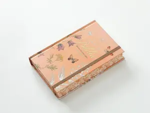 Reina-Valera 1960 Bible Large 12-Point Font 32 Full-Color Pages Jesus Words in Red Portable Edition for Daily Reading