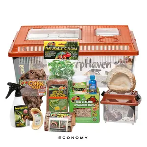 COMPLETE Salamader/Newt Setup