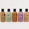 philosophy 5-piece 8oz seasonal shower gel collection
