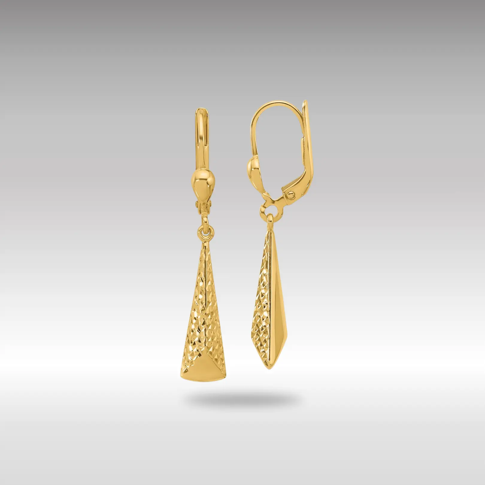 14K Gold Leslie's Polished and Diamond-cut Dangle Leverback Earrings - Model LE2642