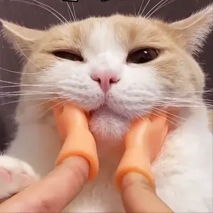 1 PC Cat Teaser Toy; Tiny Finger Hands Interactive Cat Toys For Kitten Cats