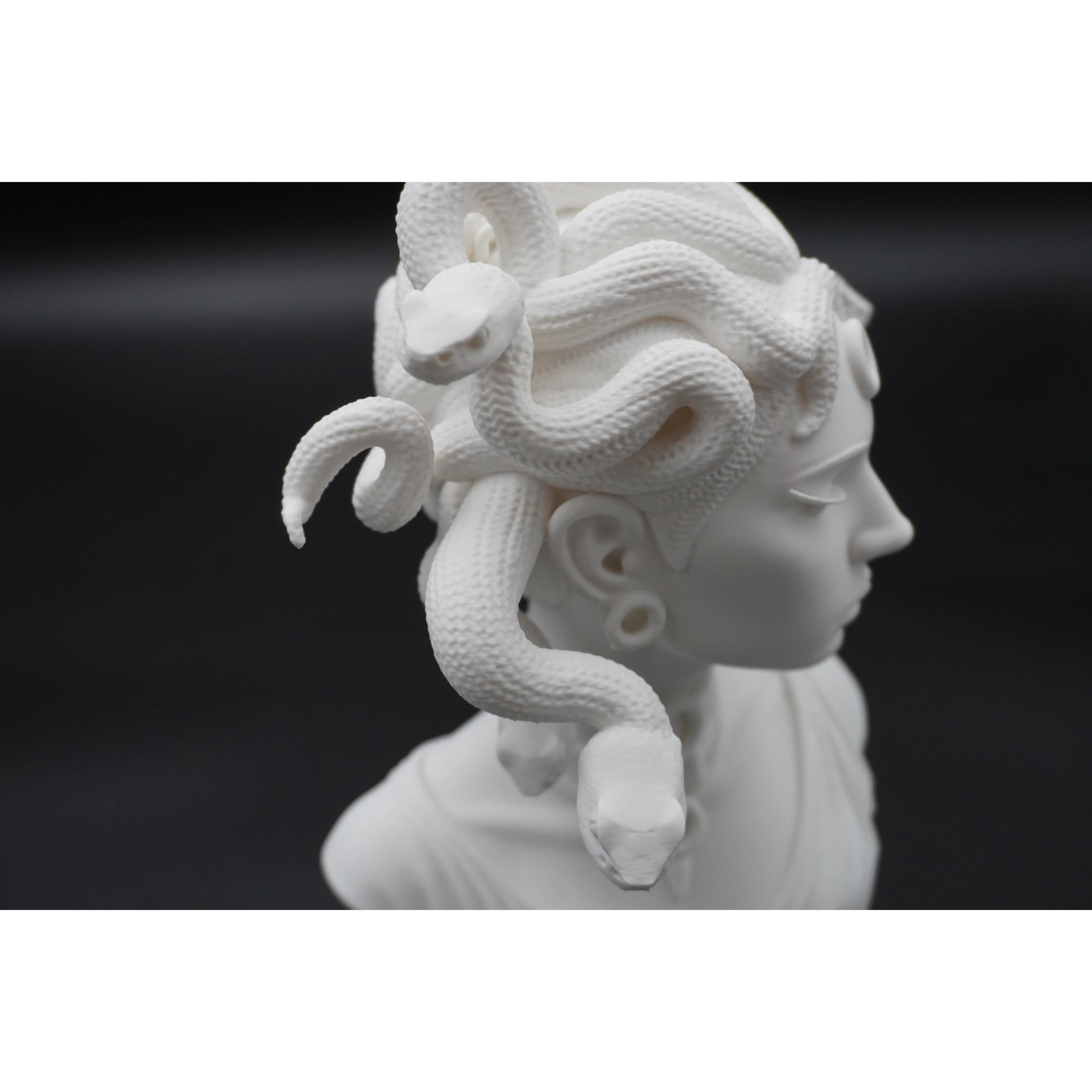 Medusa Bust - Mythis 3D Printed Shelf Sculpture - TikTok Shop