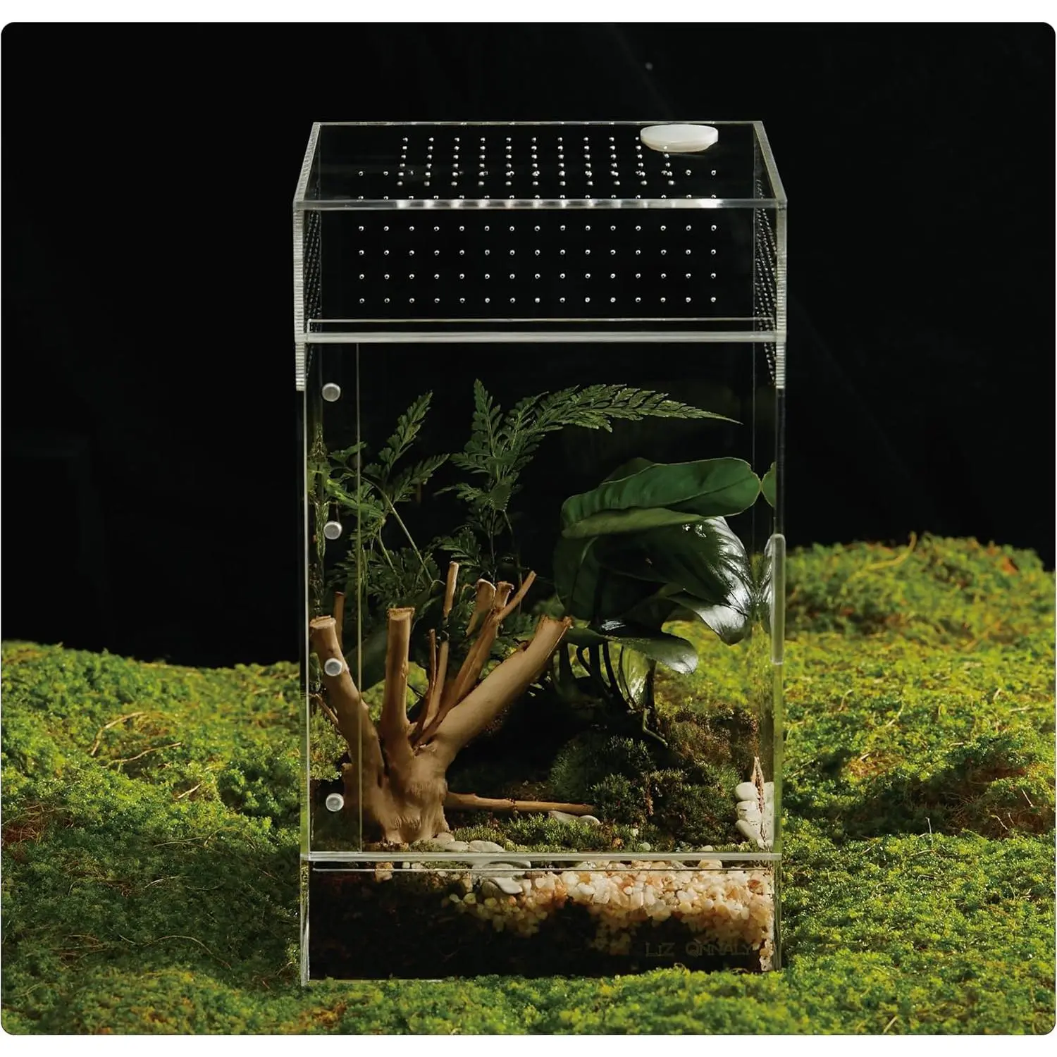 Acrylic Terrarium for Reptiles & Spiders – Small/Medium/Large Leak-Proof Enclosure (Horizontal/Vertical) | Ideal for Tarantulas, Jumping Spiders, Frogs & Geckos(Large, Vertical)
