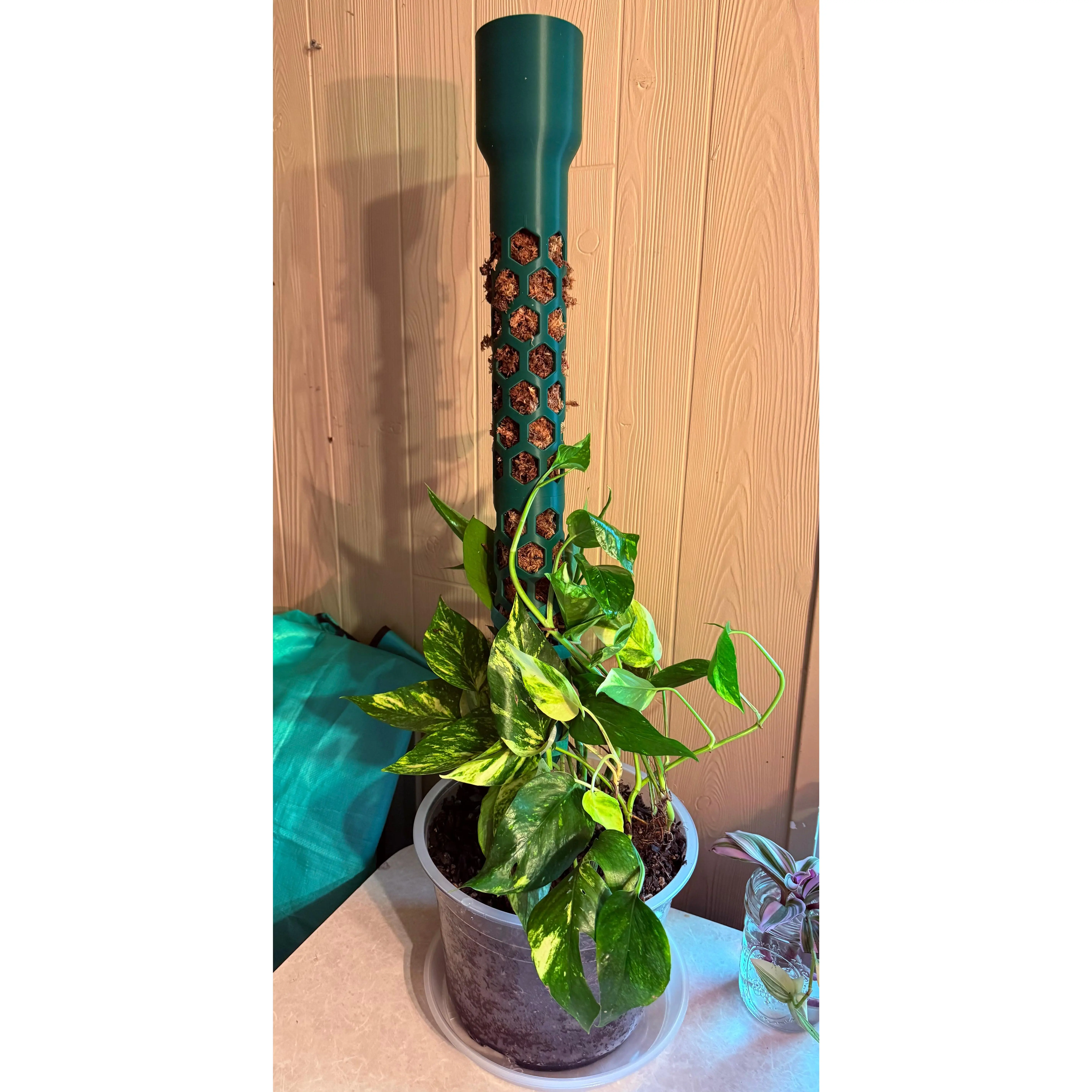 Modular Moss Pole System 2 Inch PETG Self Watering Monstera Plant Trellis