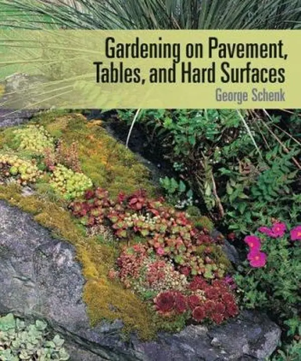 USED-Gardening on Pavement, Tables, and Hard Surfaces by George Schenk (Paperback)