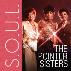 Pointer Sister - S.O.U.L.: The Pointer Sisters  [COMPACT DISC - CD]