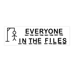 Everyone in the files | Bumper Sticker AND Magnet | Funny Meme Sticker | 8.7'' X 2.7'' | Waterproof Premium Quality