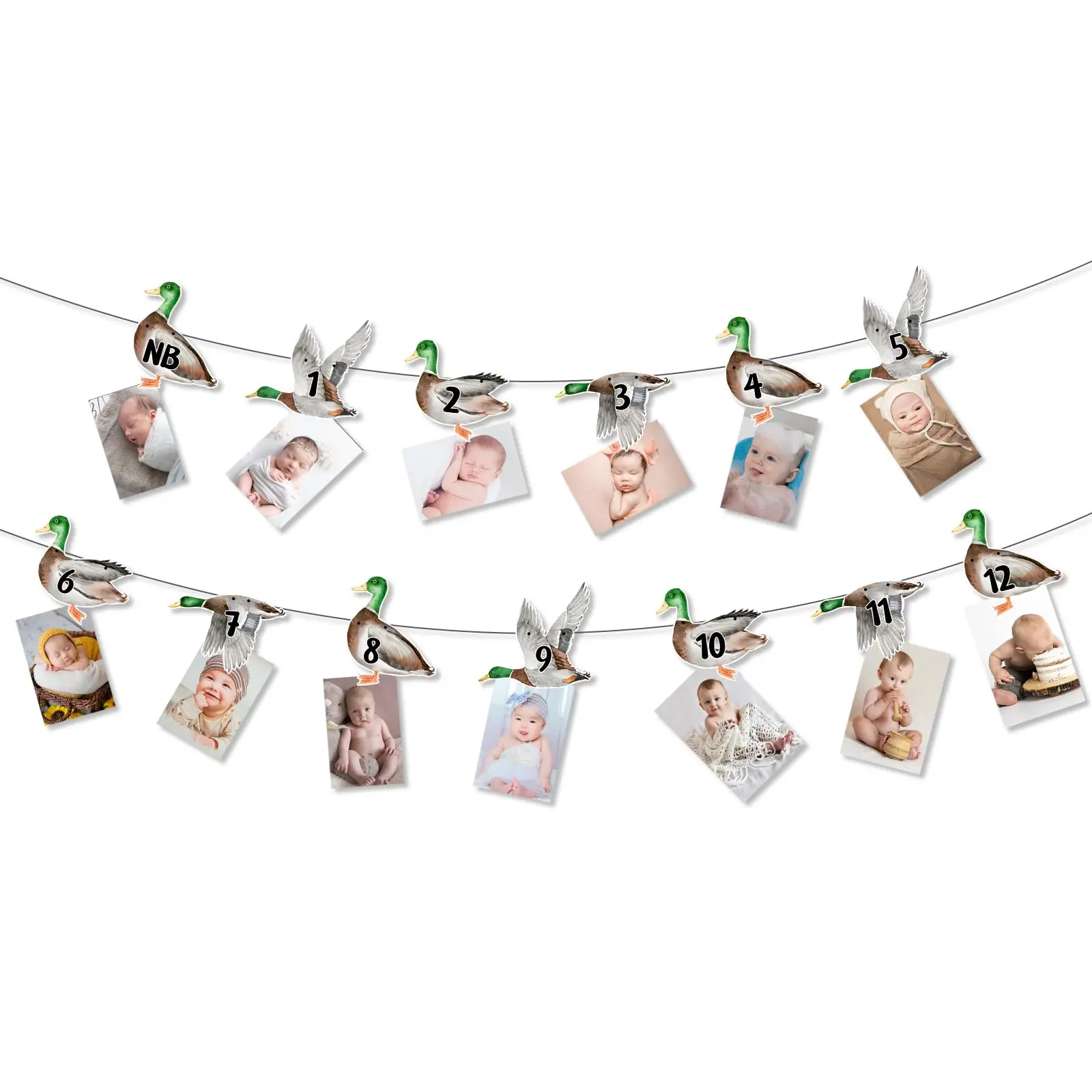 1Set Mallard Duck 1anniversary Birthday Photo Banner Duck Theme Picture Banner from Newborn to 12 Months Growth Record First Bday Party Decorations for 1 Year Old Boy