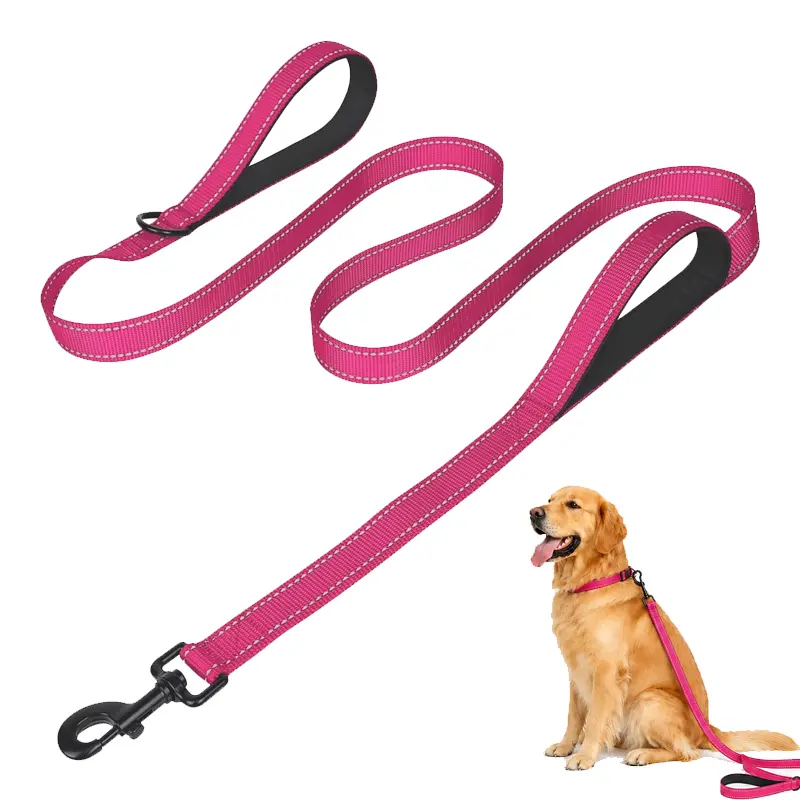 Non-Customized Dual-Handle Reflective Dog Leash, 6FT Heavy-Duty Nylon Walking & Training Lead for Medium-Large Dogs with Padded Handles, Leads