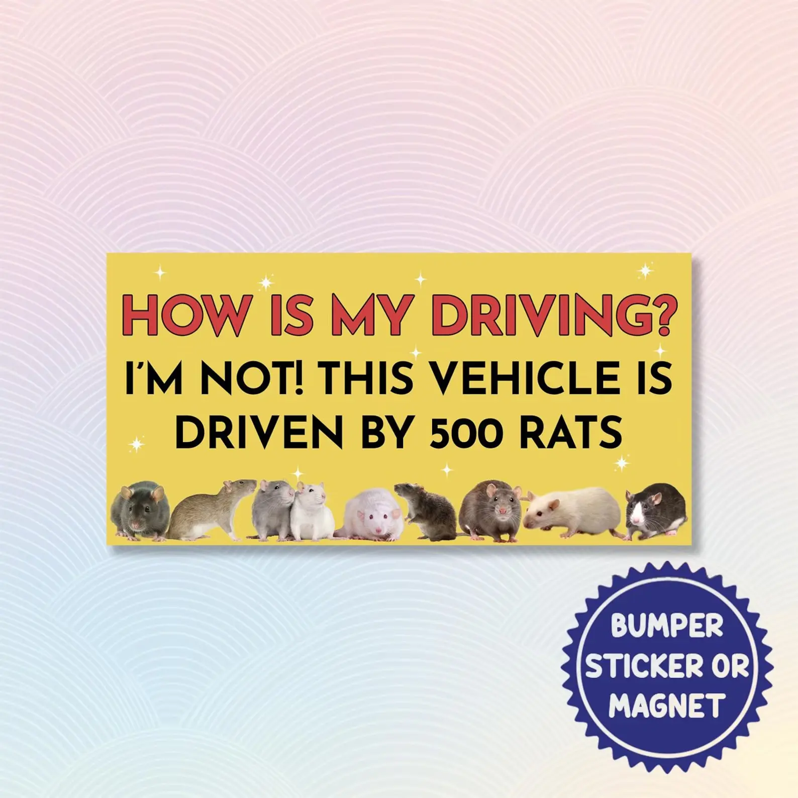 How’s My Driving I’m Not This Vehicle Is Driven by 700 Rats Magnetic/Bumper Sticker, Rat-Powered Car Joke, Hilarious Vehicle Magnet/Sticker