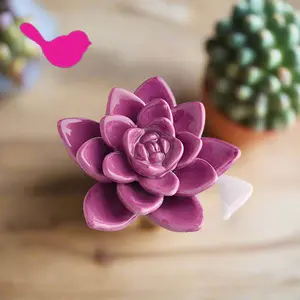 Nora Fleming Mini - Get Growing! Succulent