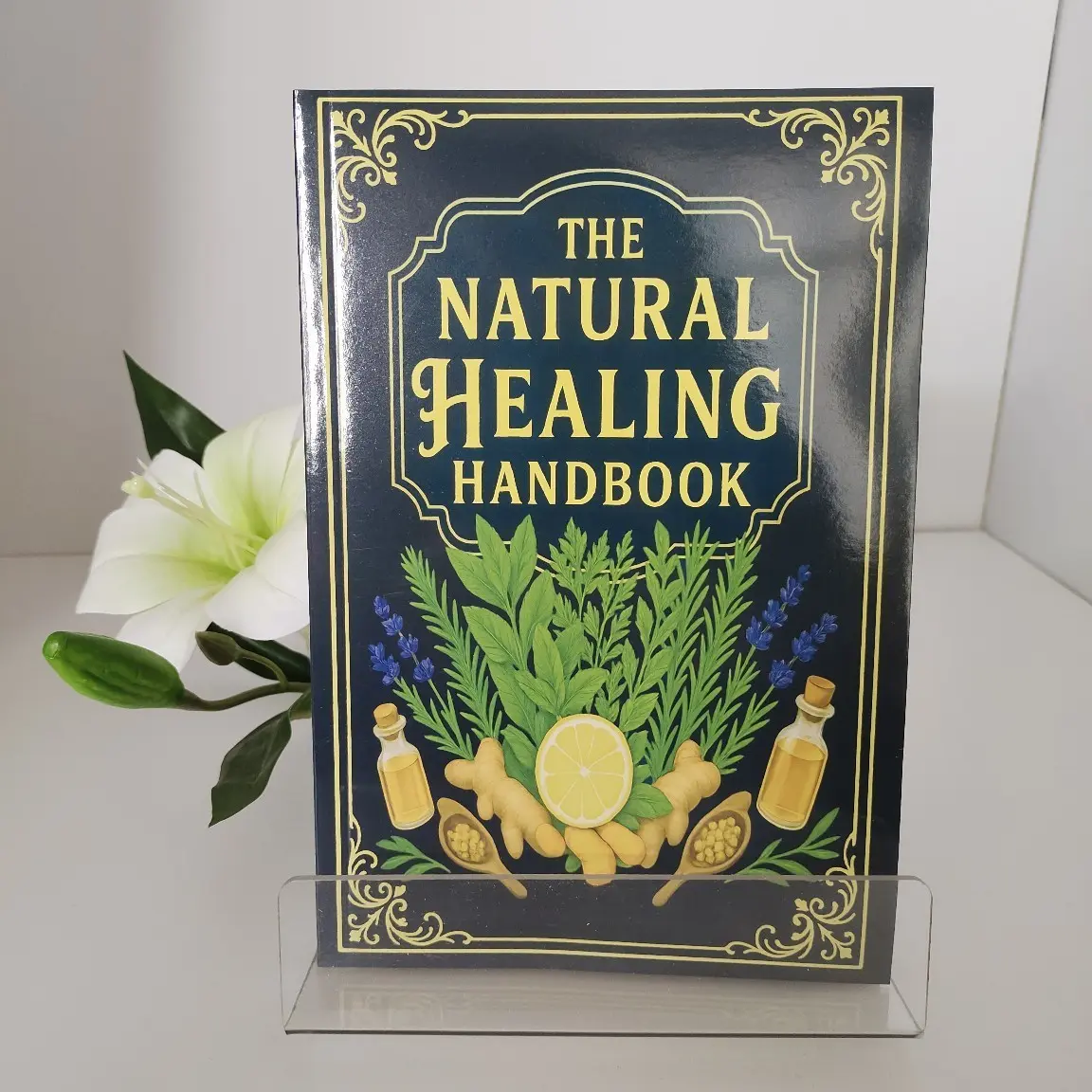 the natural healing handbook - TikTok Shop