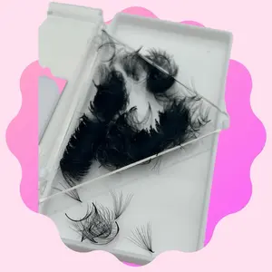 16D 0.03 Promade Fans (Box Of 500) Eyelash Extensions