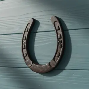Large Horseshoe Wall Plaque, Cast Iron Western Ranch Decor
