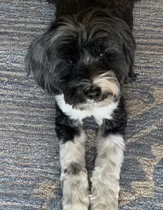 Grateful- CUSTOM TOWEL ORDER- 2 portraits on 1 kitchen towel