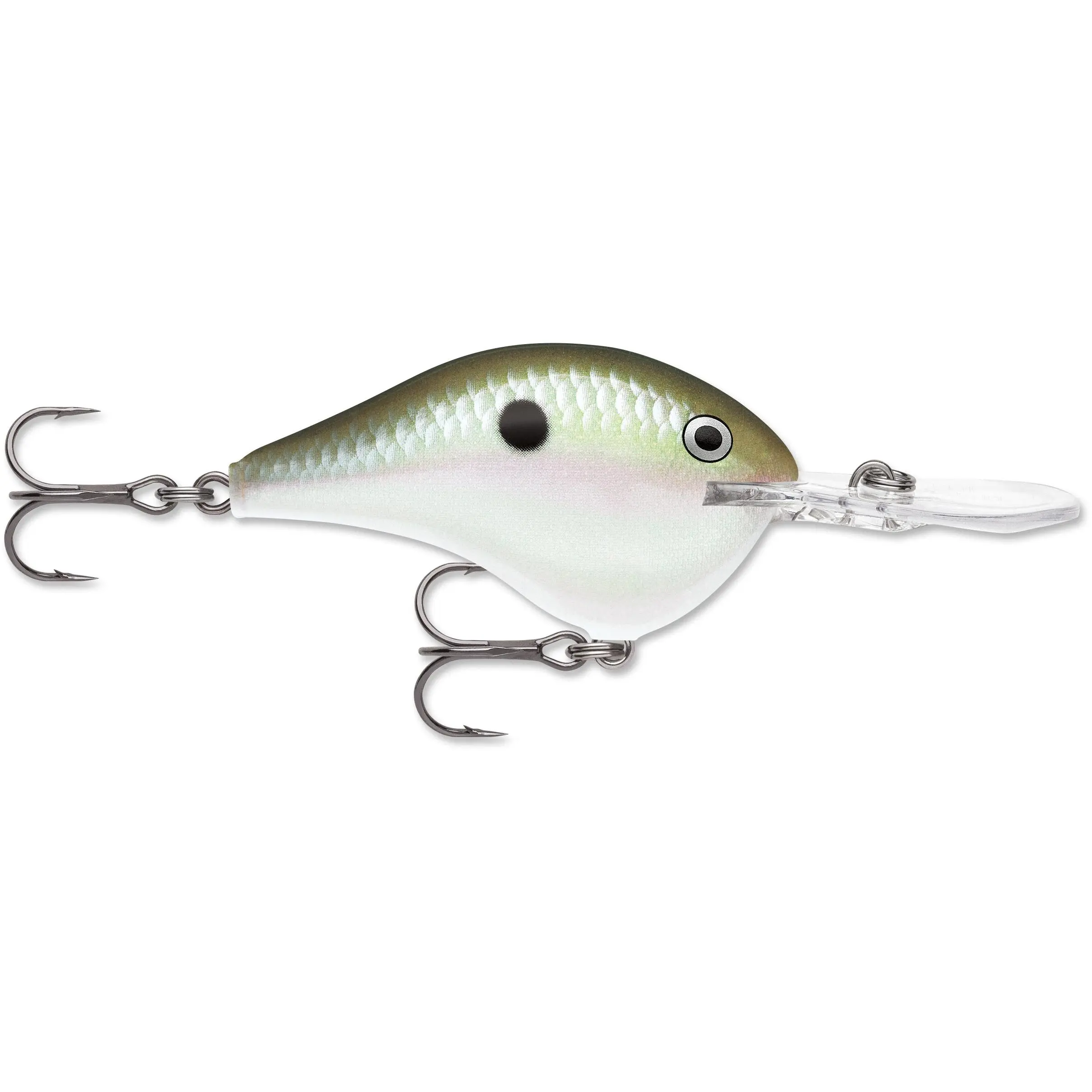Green Gizzard Shad
