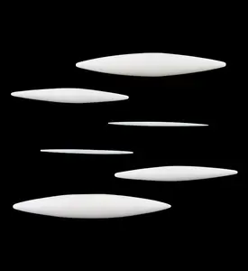 Buffalo Bone Septum Spike