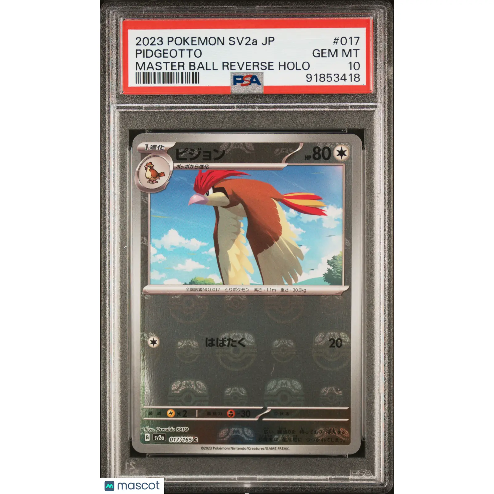 PSA 2023 Pokémon Pidgeotto Reverse Holo MasterBall #017 Japanese 10 Graded Card