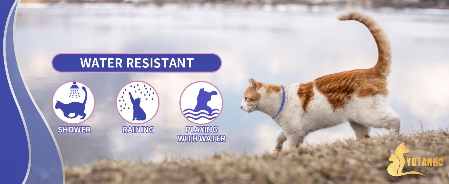 4 Pack Flea Collar for Cats, 32 Months Flea and Tick Prevention for Cat, Waterproof & Natural Cat Flea and Tick Treatment, Adjustable for Cats Kittens(Blue&Pink) #sohochic sohochic