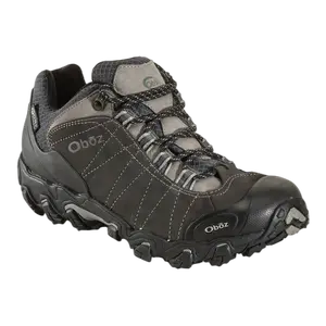 Men's Bridger Low Waterproof