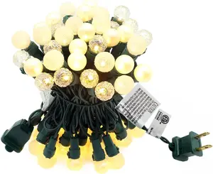Warm White Globe String Lights, 19FT 70LEDs G15 Berry Bulbs Christmas Lights, Connectable Indoor Outdoor LED String Light for Tree, Party, Wedding Decor