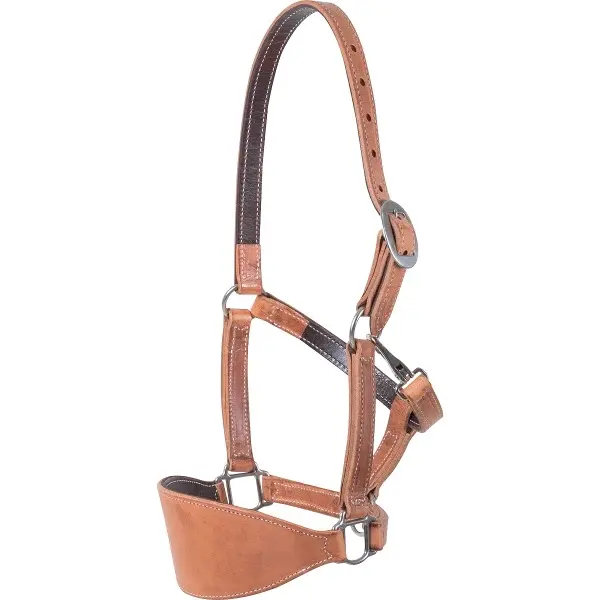 Martin Bronc Halter