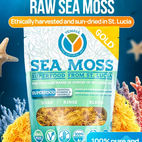 Wildcrafted GOLD Sea Moss Organic Non Gmo Green