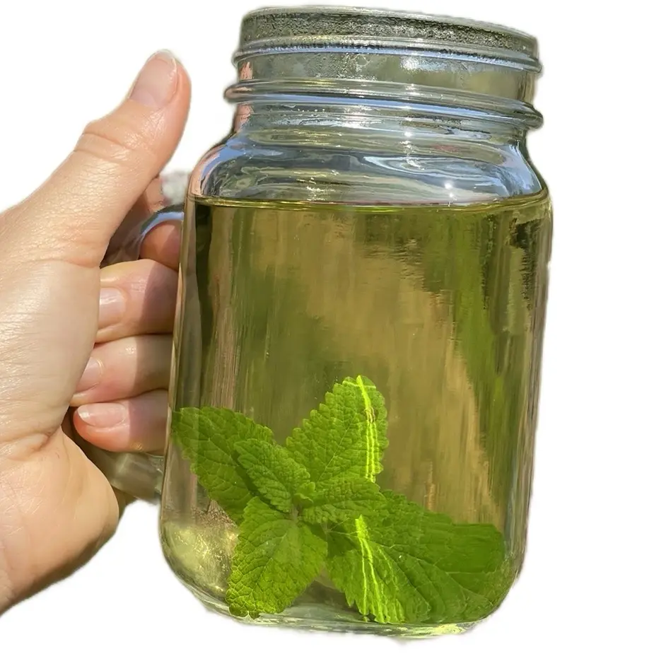 Lemon Balm Tea - Nervine - Skin - Sores - Organic - Herbal